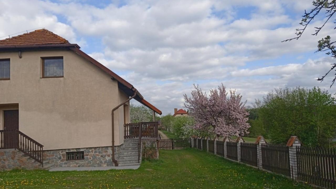 Villa Wypoczynek Kocia Góra Dziemiany Exterior foto