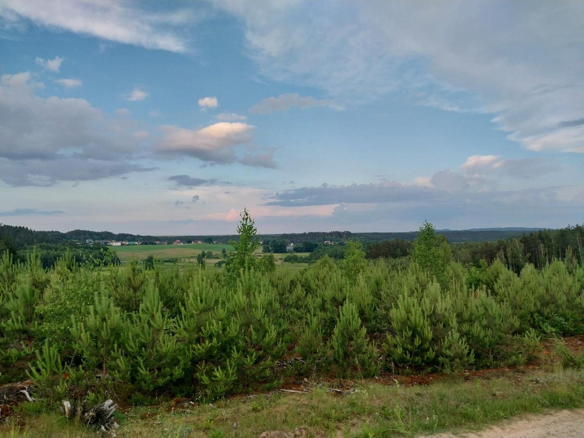Villa Wypoczynek Kocia Góra Dziemiany Exterior foto