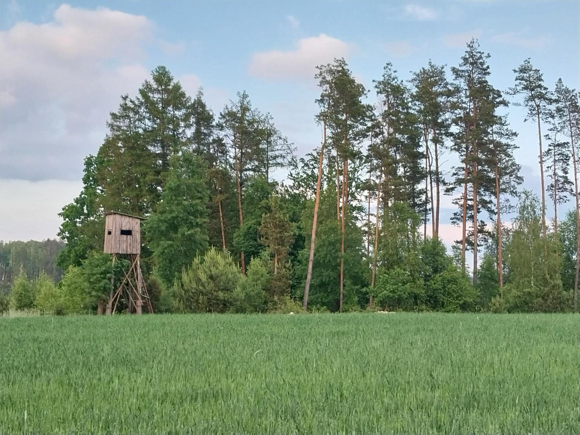 Villa Wypoczynek Kocia Góra Dziemiany Exterior foto