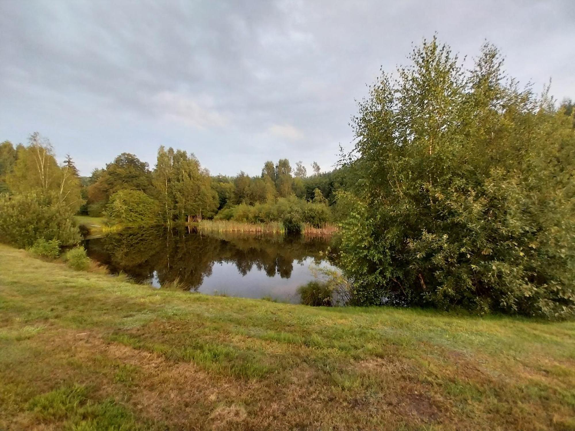 Villa Wypoczynek Kocia Góra Dziemiany Exterior foto