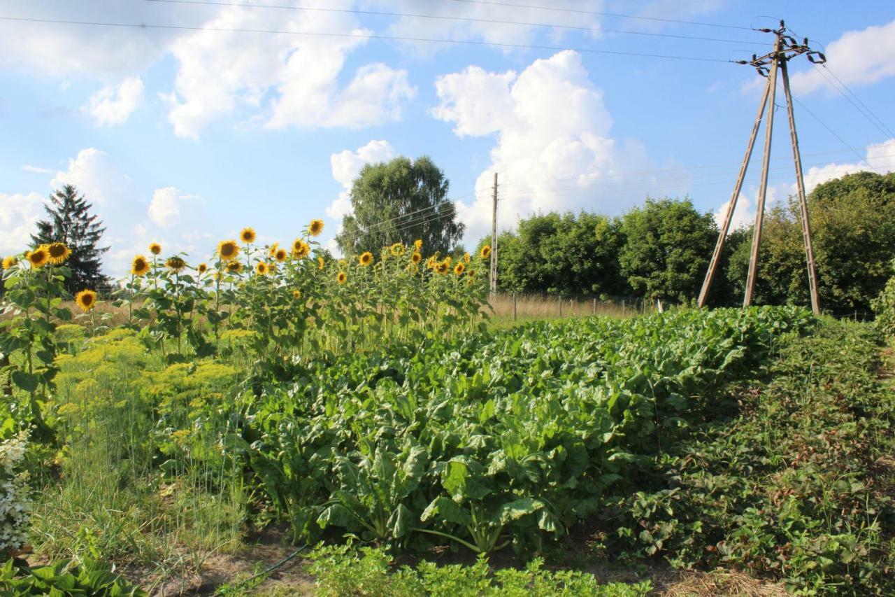 Villa Wypoczynek Kocia Góra Dziemiany Exterior foto