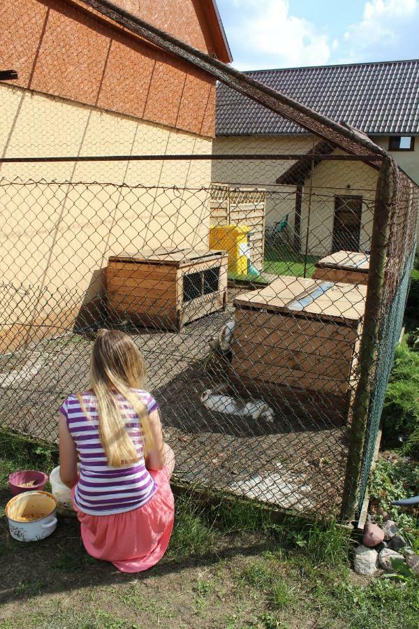 Villa Wypoczynek Kocia Góra Dziemiany Exterior foto